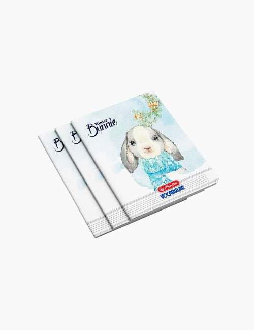 Vocabular A6, Herlitz, 24 file, diverse motive
