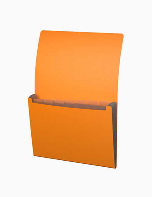 Mapa Plastic ErichKrause A4, 6 Compartimente, Cu Elastic, Culori Neon