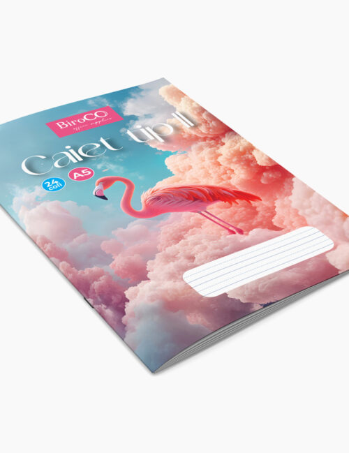 Caiet Tip II, A5, BiroCO, 24 File, Flamingo